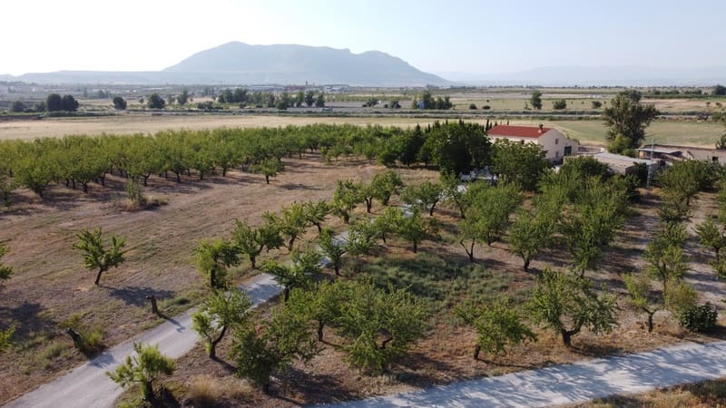 7 bedroom Finca/Country House for sale in Baza with pool - € 315,000 (Ref: 8165155)