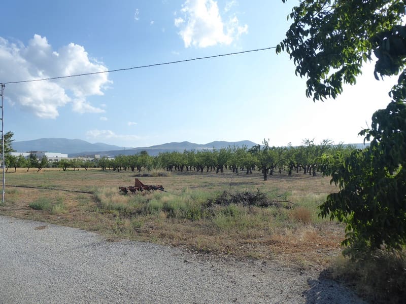 7 bedroom Finca/Country House for sale in Baza with pool - € 315,000 (Ref: 8165155)