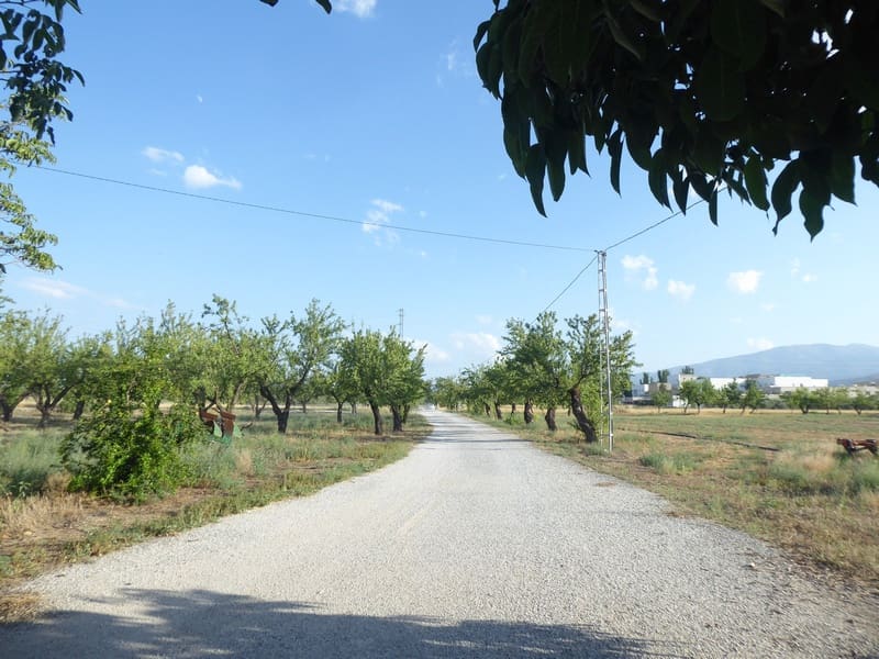 7 bedroom Finca/Country House for sale in Baza with pool - € 315,000 (Ref: 8165155)