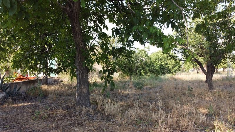 7 Zimmer Finca/Landgut zu verkaufen in Baza - 315.000 € (Ref: 8165155)