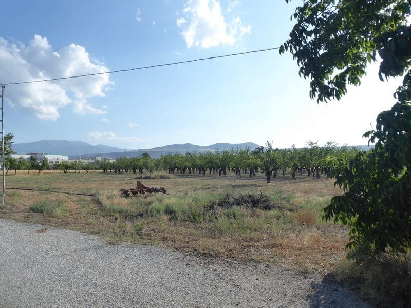 7 Zimmer Finca/Landgut zu verkaufen in Baza - 315.000 € (Ref: 8165155)