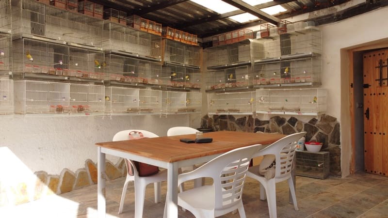 4 chambre Maison Troglodyte à vendre à Castillejar - 90 000 € (Ref: 8174126)