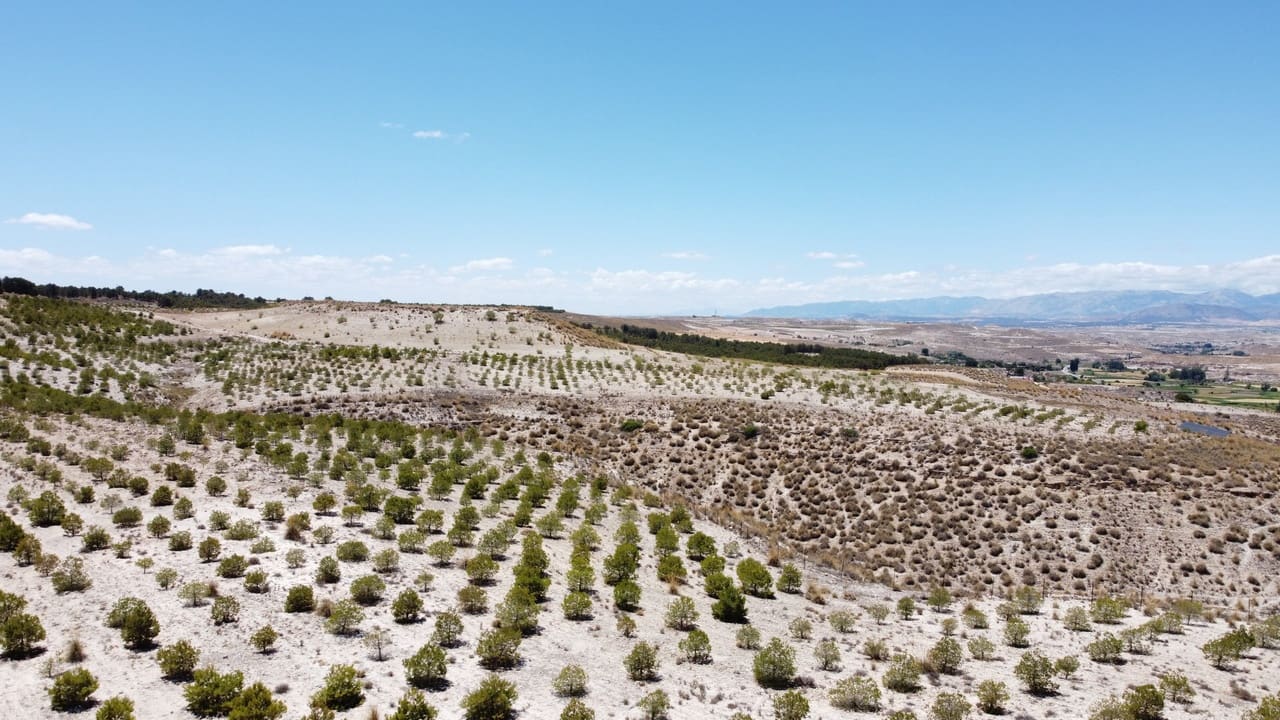 6 bedroom Cave House for sale in Orce - € 130,000 (Ref: 8401845)