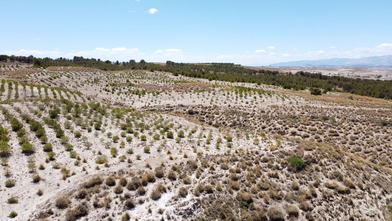 6 bedroom Cave House for sale in Orce - € 130,000 (Ref: 8401845)