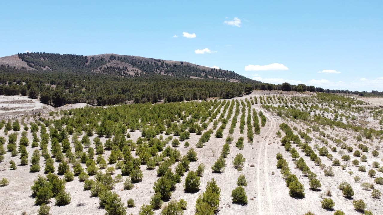 6 bedroom Cave House for sale in Orce - € 130,000 (Ref: 8401845)