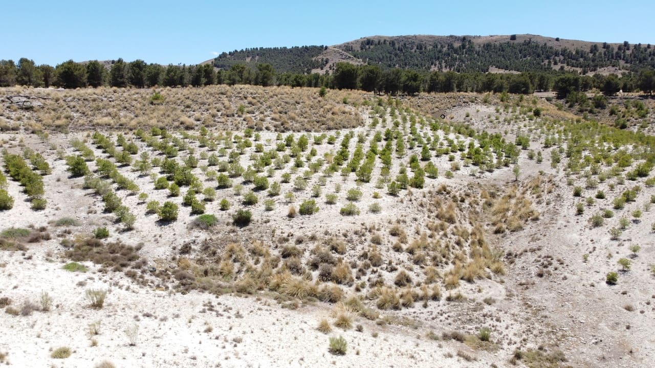 6 bedroom Cave House for sale in Orce - € 130,000 (Ref: 8401845)