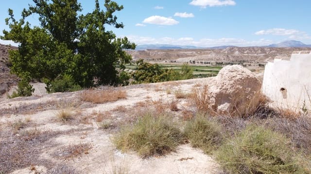 5 bedroom Cave House for sale in Orce with pool - € 99,950 (Ref: 8429902)