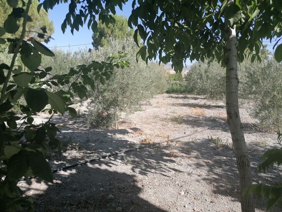 6 soverom Finca/Herregård til salgs i Baza med svømmebasseng - € 233 000 (Ref: 8441292)