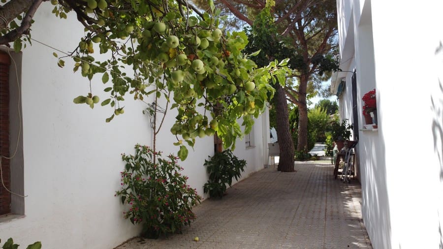 6 soverom Finca/Herregård til salgs i Baza med svømmebasseng - € 233 000 (Ref: 8441292)