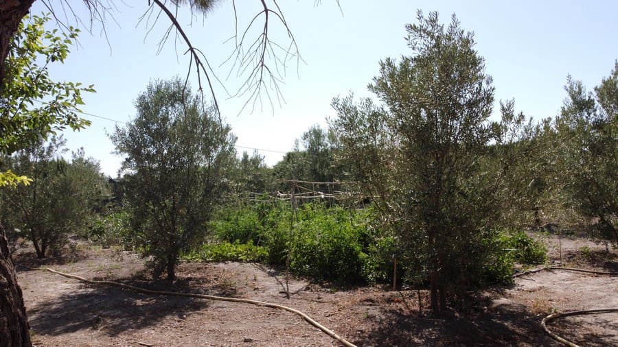 6 soverom Finca/Herregård til salgs i Baza med svømmebasseng - € 233 000 (Ref: 8441292)