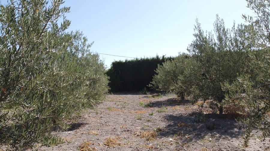 6 soverom Finca/Herregård til salgs i Baza med svømmebasseng - € 233 000 (Ref: 8441292)