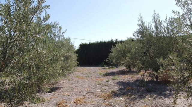 6 sovrum Finca/Hus på landet till salu i Baza med pool - 233 000 € (Ref: 8441292)