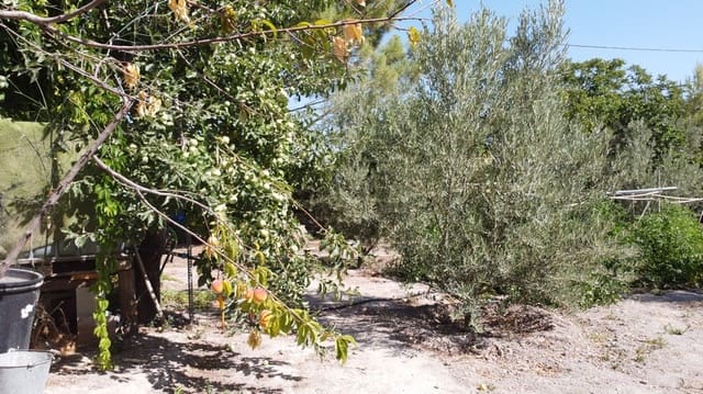 6 sovrum Finca/Hus på landet till salu i Baza med pool - 233 000 € (Ref: 8441292)