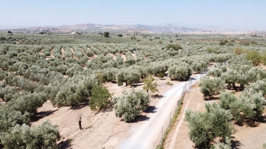 2 camera da letto Finca/Casa di Campagna in vendita in Pozo Alcon con piscina - 158.000 € (Rif: 8543227)