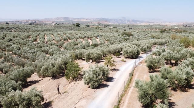 2 camera da letto Finca/Casa di Campagna in vendita in Pozo Alcón con piscina - 158.000 € (Rif: 8543227)