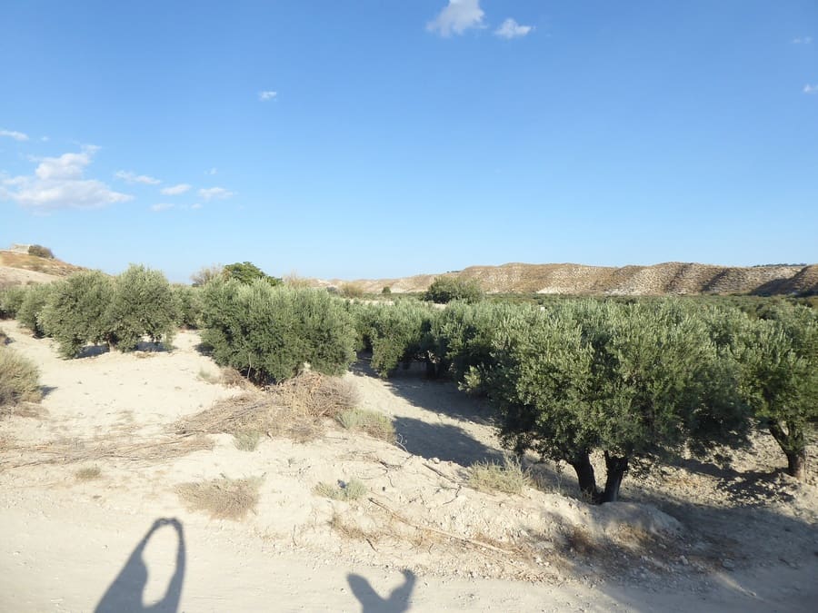 5 soverom Grottehus til salgs i Benamaurel - € 59 000 (Ref: 8549747)