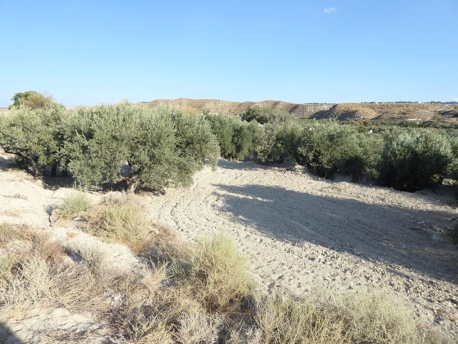 5 soverom Grottehus til salgs i Benamaurel - € 59 000 (Ref: 8549747)