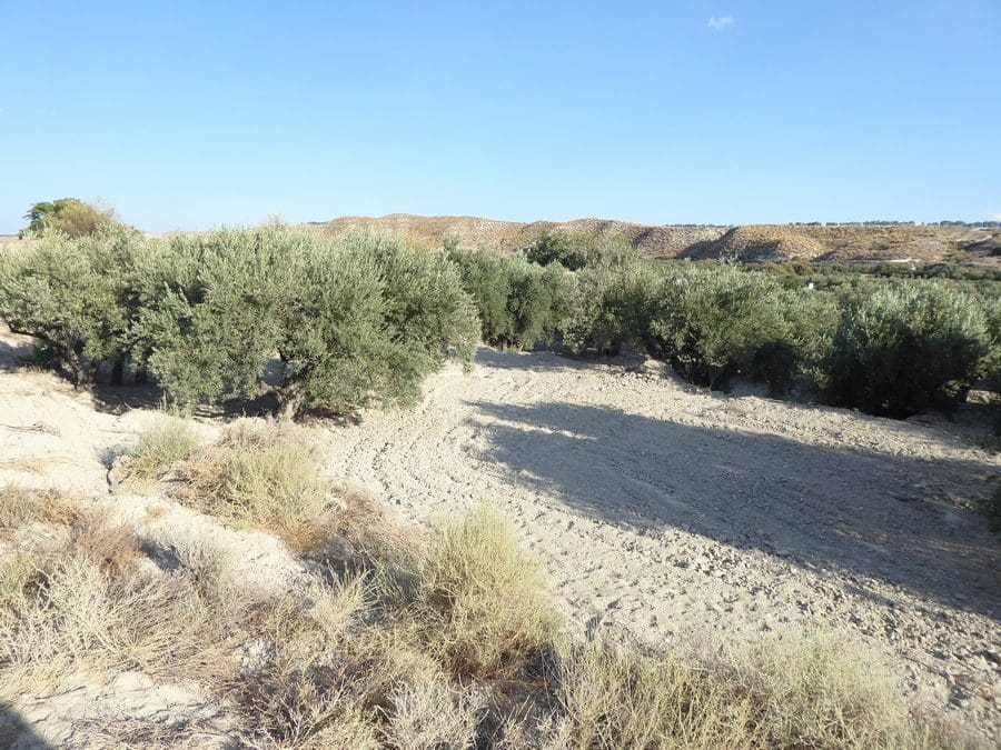 5 soveværelse Hulehus til salg i Benamaurel - € 59.000 (Ref: 8549747)