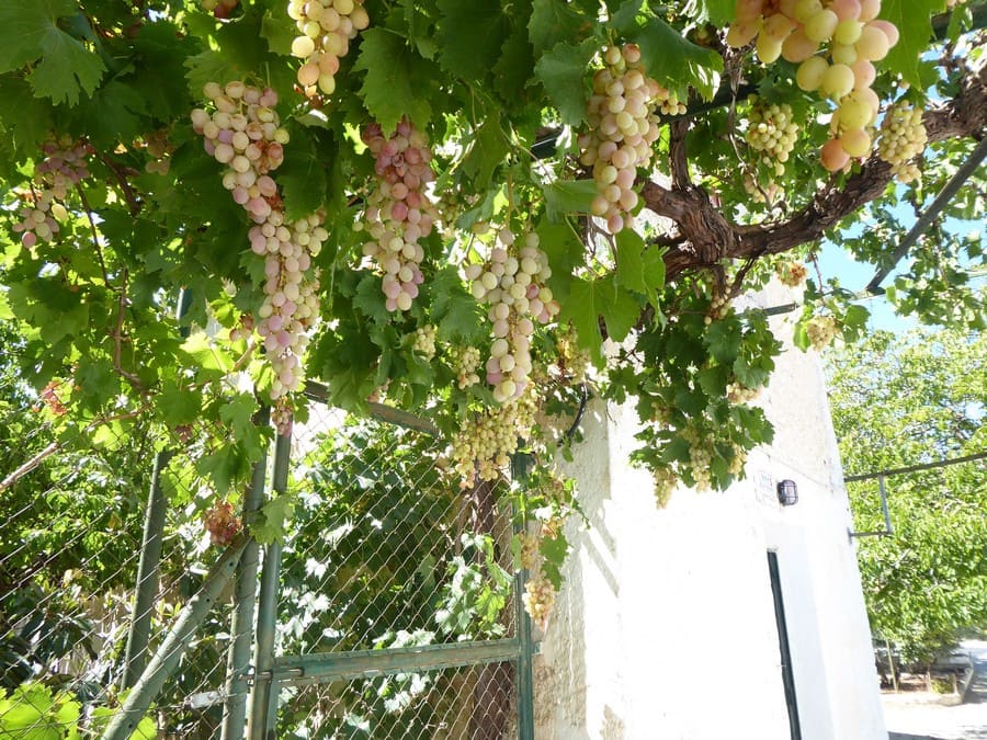 3 soveværelse Finca/Landehus til salg i Baza - € 128.000 (Ref: 8571172)