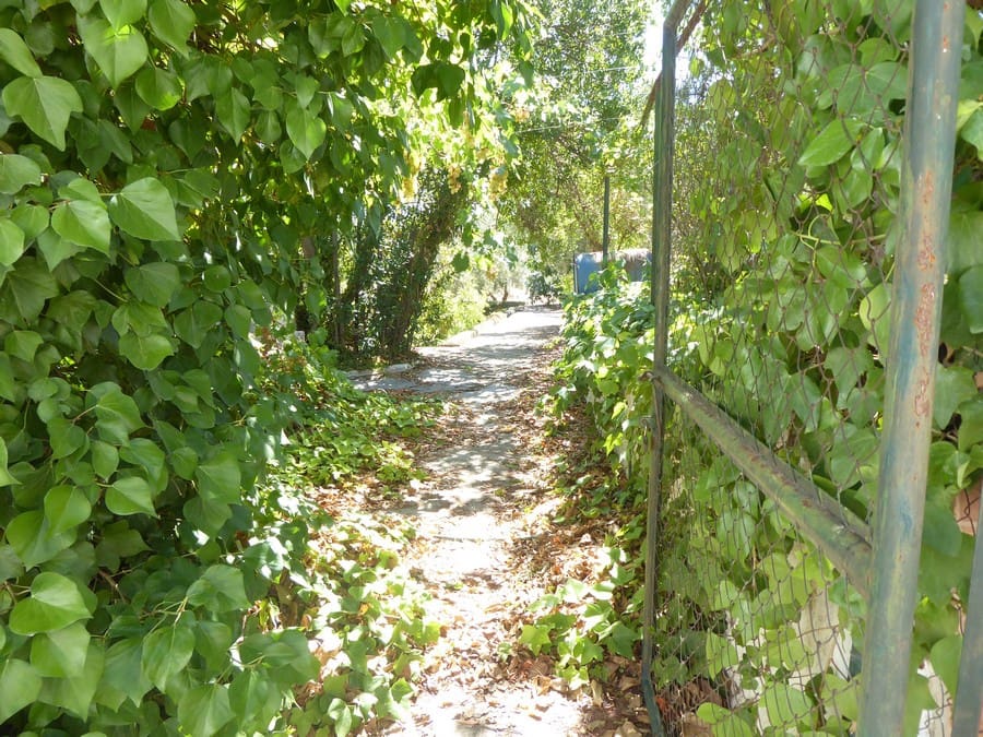 3 soveværelse Finca/Landehus til salg i Baza - € 128.000 (Ref: 8571172)