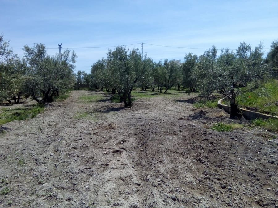 3 soveværelse Finca/Landehus til salg i Baza - € 128.000 (Ref: 8571172)