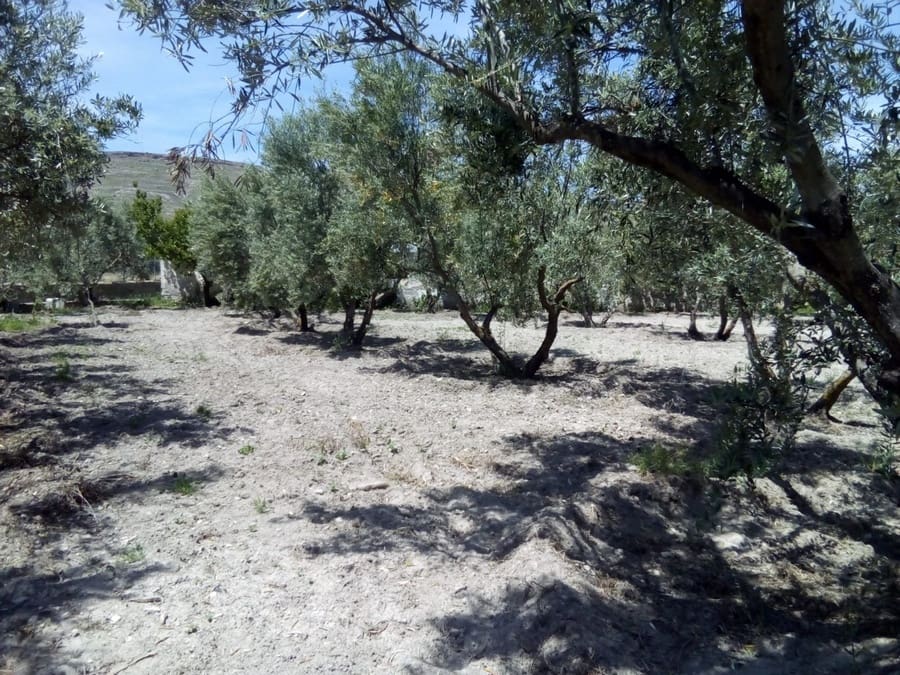 3 soveværelse Finca/Landehus til salg i Baza - € 128.000 (Ref: 8571172)