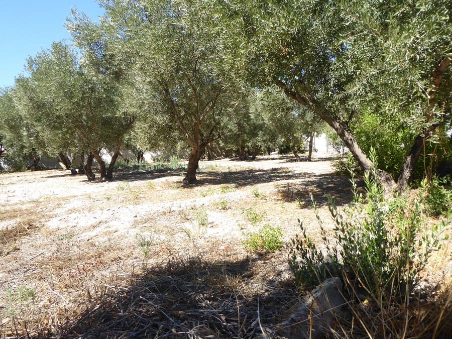 3 soveværelse Finca/Landehus til salg i Baza - € 128.000 (Ref: 8571172)