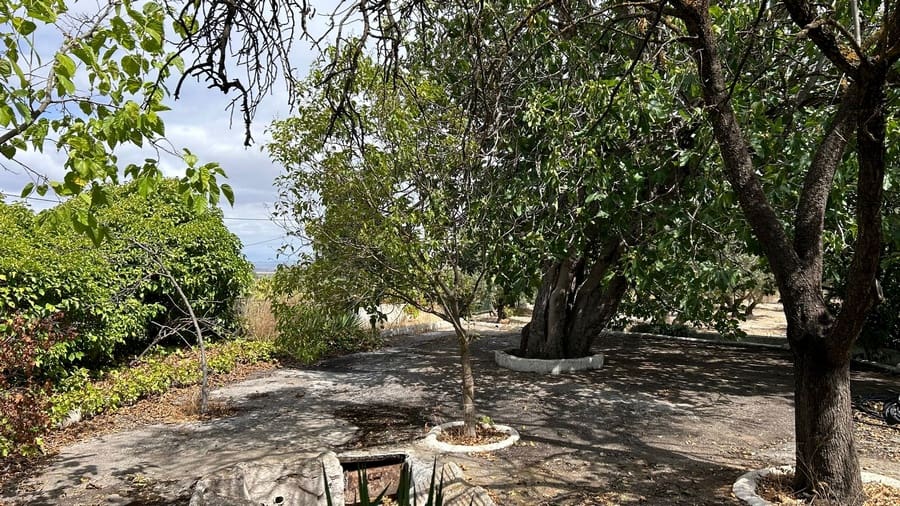 3 soveværelse Finca/Landehus til salg i Baza - € 128.000 (Ref: 8571172)