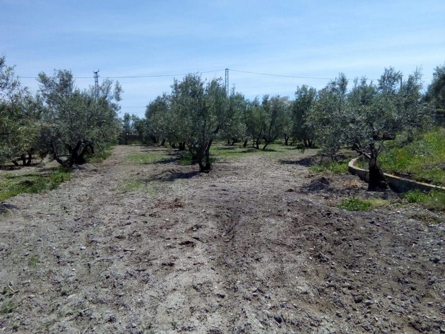 3 makuuhuone Maalaistalo myytävänä paikassa Baza - 128 000 € (Ref: 8571172)