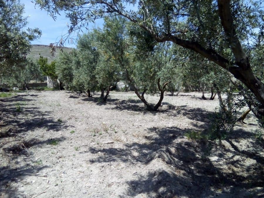 3 makuuhuone Maalaistalo myytävänä paikassa Baza - 128 000 € (Ref: 8571172)