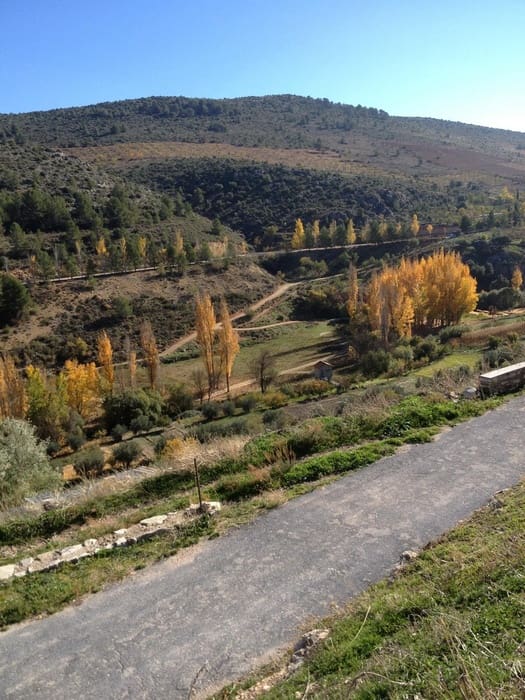 Finca/Casa Rural de 4 habitaciones en Huéscar en venta - 200.000 € (Ref: 8636035)