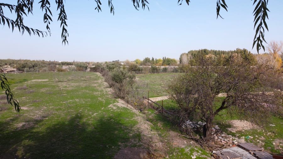 8 soveværelse Finca/Landehus til salg i Caniles med swimmingpool - € 395.000 (Ref: 8697475)