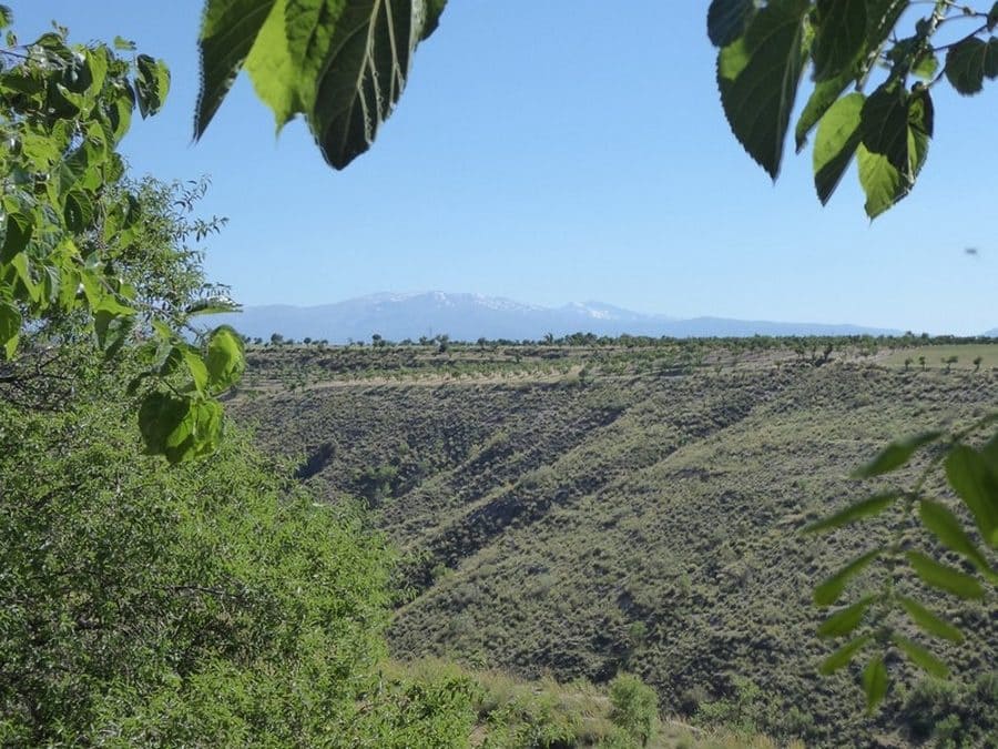 6 soverom Grottehus til salgs i Gor - € 72 000 (Ref: 8700668)