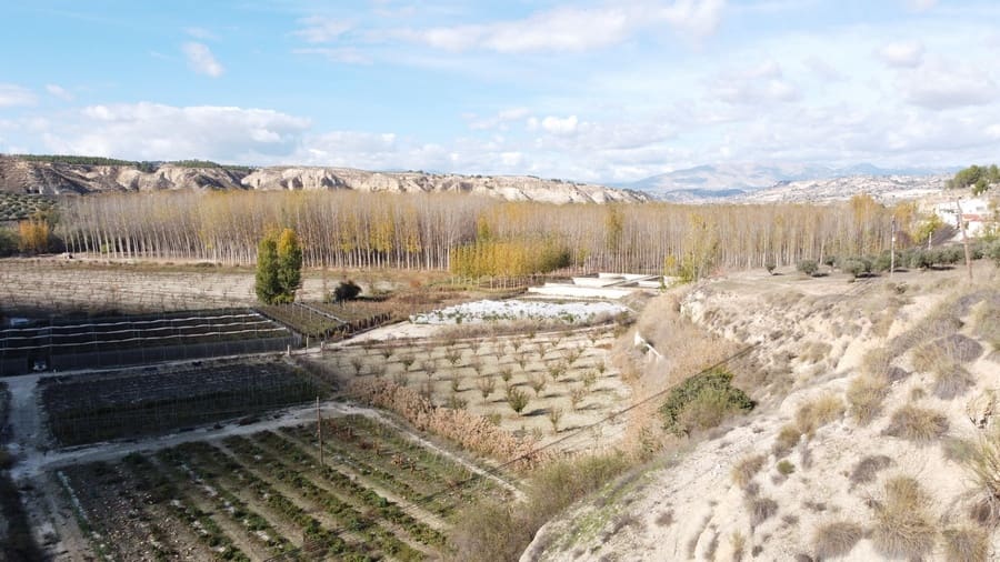 5 soverom Grottehus til salgs i Cortes de Baza - € 115 000 (Ref: 8707434)