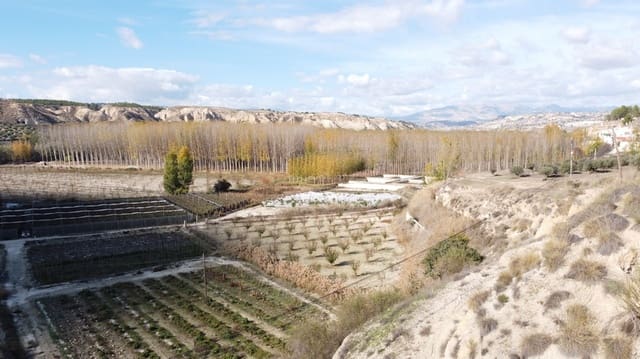 5 bedroom Cave House for sale in Cortes de Baza - € 115,000 (Ref: 8707434)