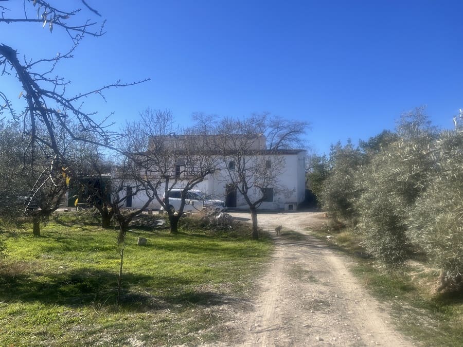 5 bedroom Finca/Country House for sale in Baza with pool - € 159,000 (Ref: 8758562)