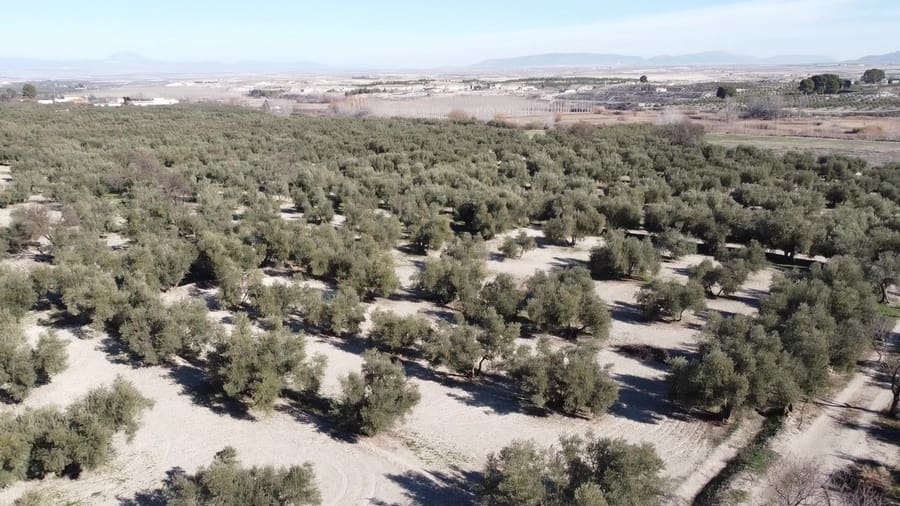 5 bedroom Finca/Country House for sale in Baza with pool - € 159,000 (Ref: 8758562)