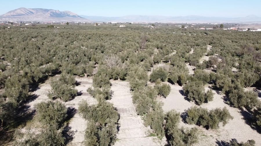 5 bedroom Finca/Country House for sale in Baza with pool - € 159,000 (Ref: 8758562)