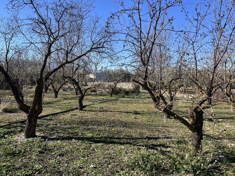 5 bedroom Finca/Country House for sale in Baza with pool - € 159,000 (Ref: 8758562)