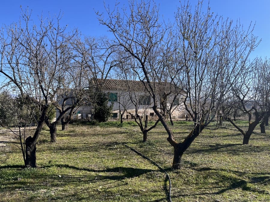 5 bedroom Finca/Country House for sale in Baza with pool - € 159,000 (Ref: 8758562)