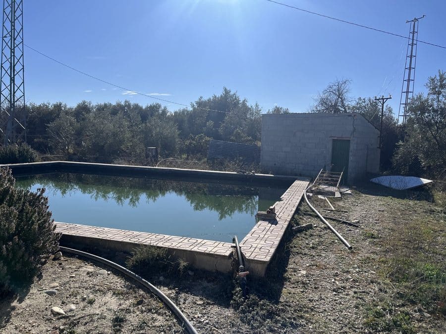 5 chambre Finca/Maison de Campagne à vendre à Baza - 159 000 € (Ref: 8758562)