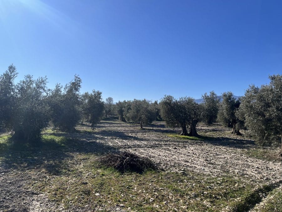 5 chambre Finca/Maison de Campagne à vendre à Baza - 159 000 € (Ref: 8758562)