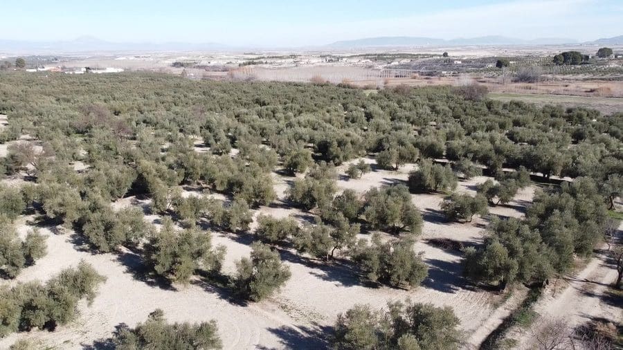 5 chambre Finca/Maison de Campagne à vendre à Baza - 159 000 € (Ref: 8758562)