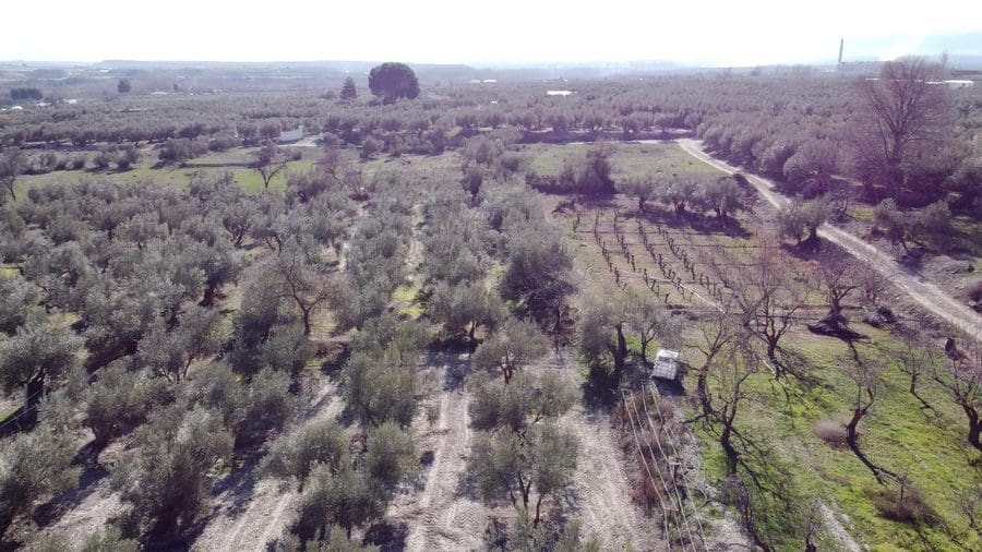 5 chambre Finca/Maison de Campagne à vendre à Baza - 159 000 € (Ref: 8758562)