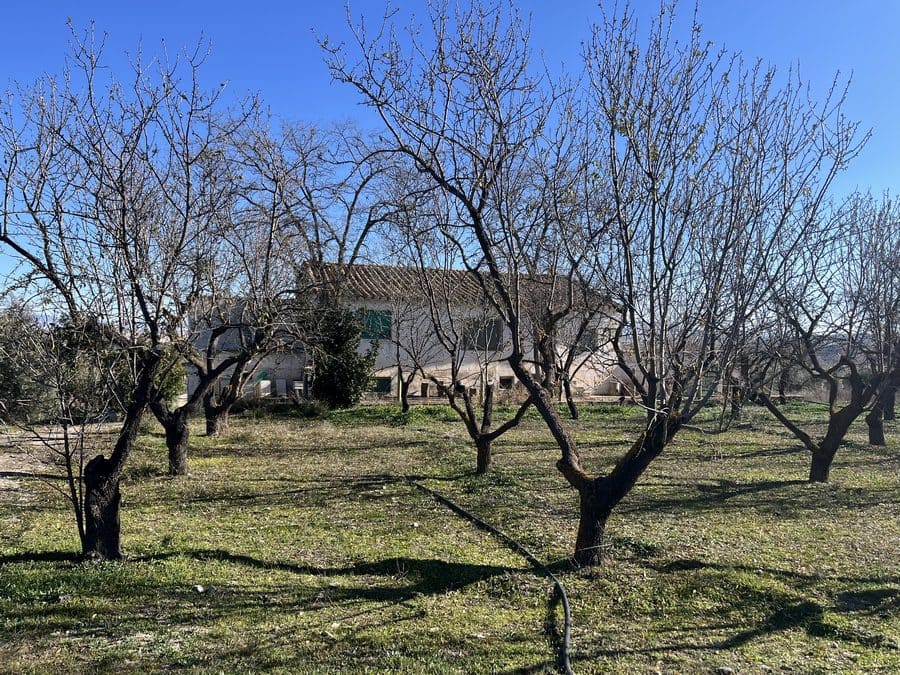 5 chambre Finca/Maison de Campagne à vendre à Baza - 159 000 € (Ref: 8758562)