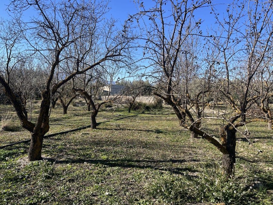 5 chambre Finca/Maison de Campagne à vendre à Baza - 159 000 € (Ref: 8758562)