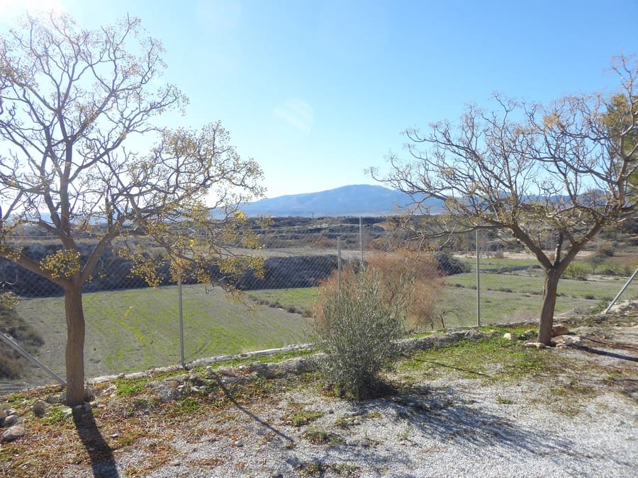 3 soveværelse Hulehus til salg i Baza - € 39.000 (Ref: 8807481)