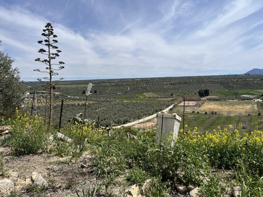 2 chambre Maison Troglodyte à vendre à Fontanar - 27 500 € (Ref: 8940768)