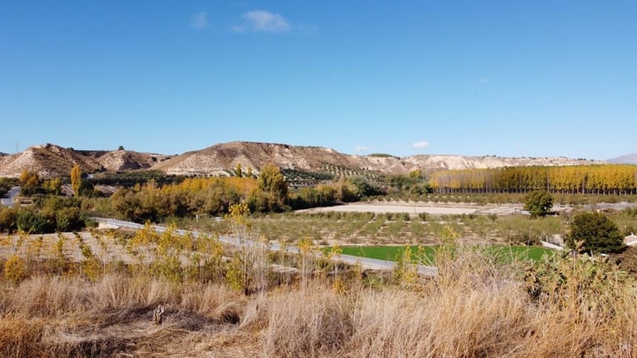 7 bedroom Cave House for sale in Cortes de Baza - € 195,000 (Ref: 8953811)