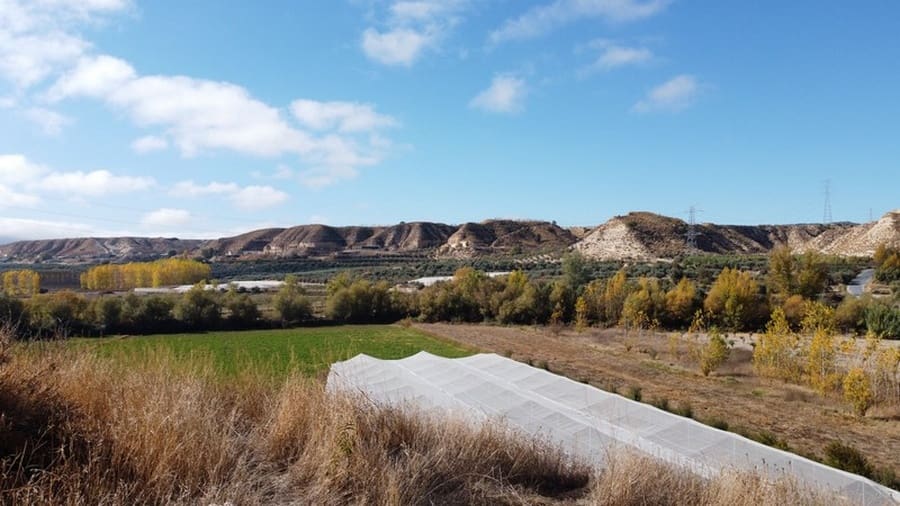 7 bedroom Cave House for sale in Cortes de Baza - € 195,000 (Ref: 8953811)